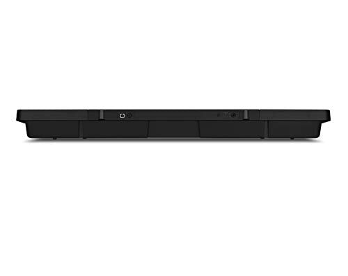 Casio, Teclado Portátil con Eliminador, CTK-3500